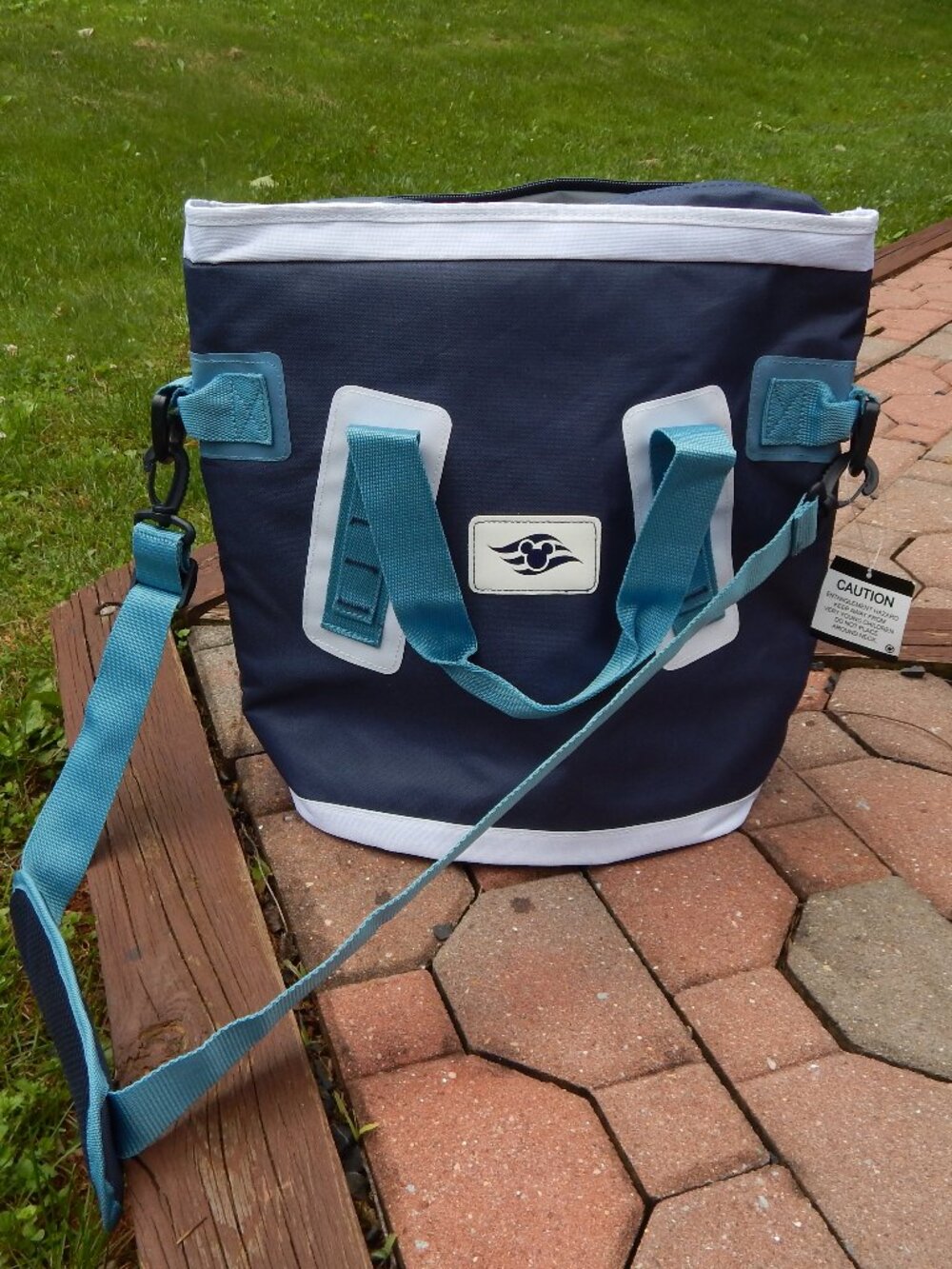 Disney Cruise Line Insulated Cooler NEW WITH TAGS